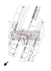 Forcella anteriore